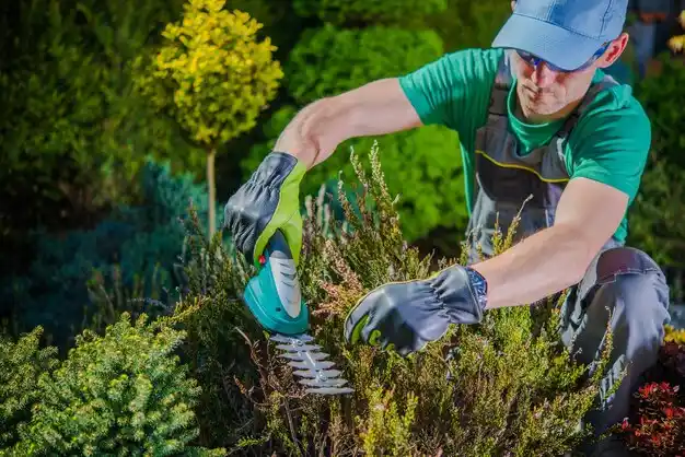 landscaping services South Vacherie